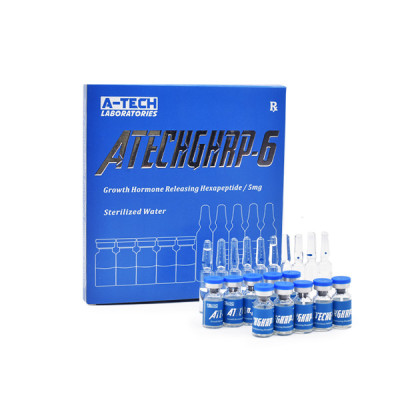 ATECHGHRP-6